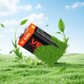 9V Alkaline Batteries 12-Pack 9 Volt Battery For Smoke Detector Long Lasting